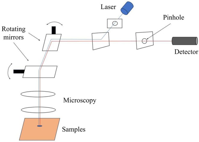 FIGURE 2