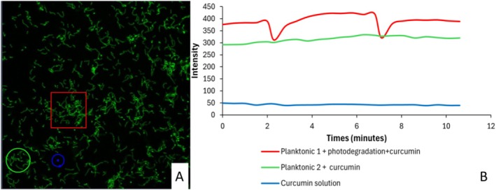 FIGURE 6