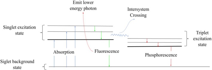 FIGURE 1