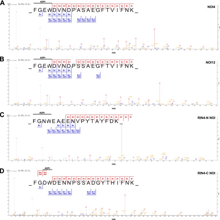 FIGURE 2