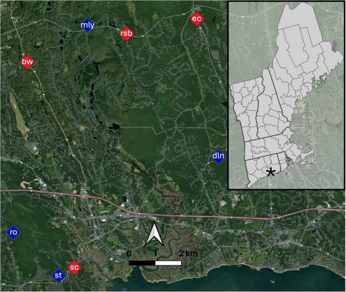 FIGURE 1