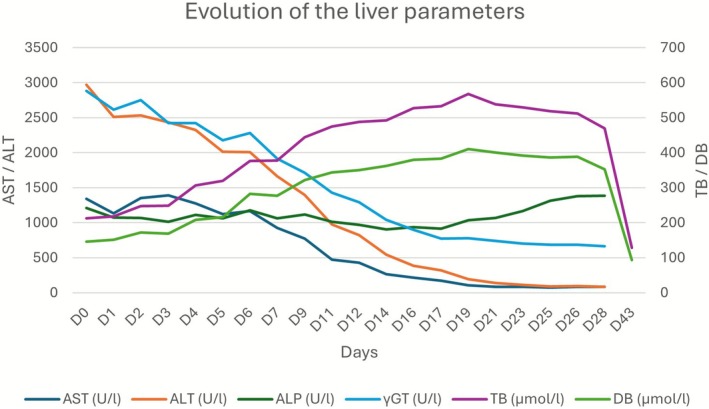 FIGURE 2