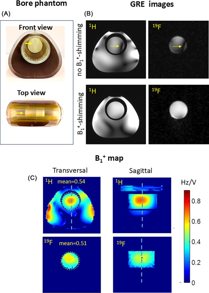 FIGURE 3
