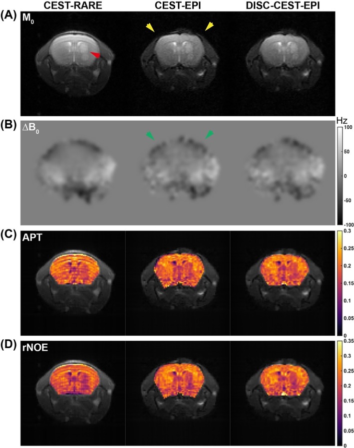 FIGURE 4