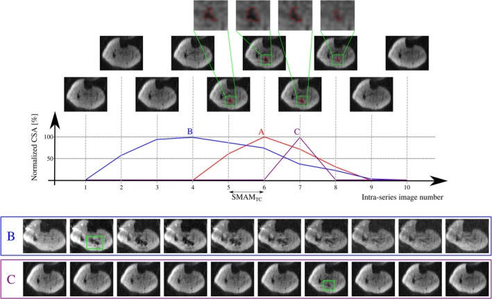 FIGURE 3