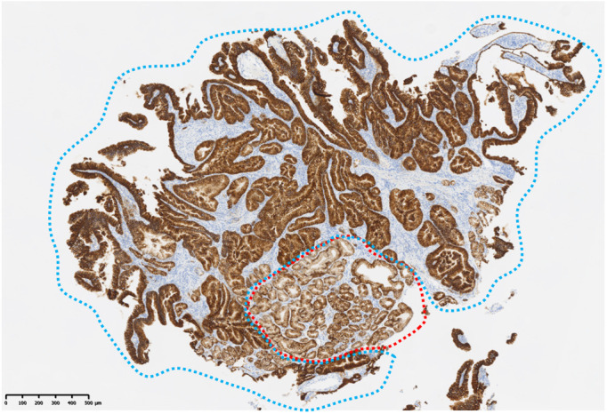 Figure 3