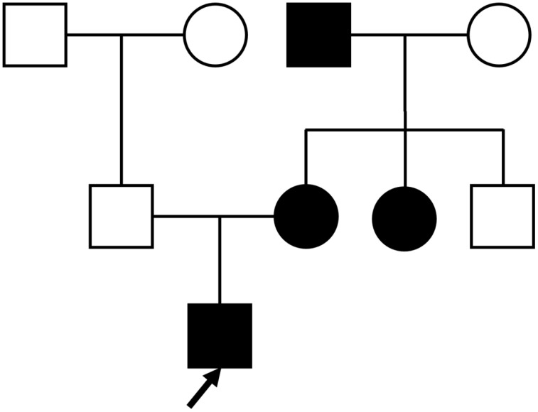 Figure 1
