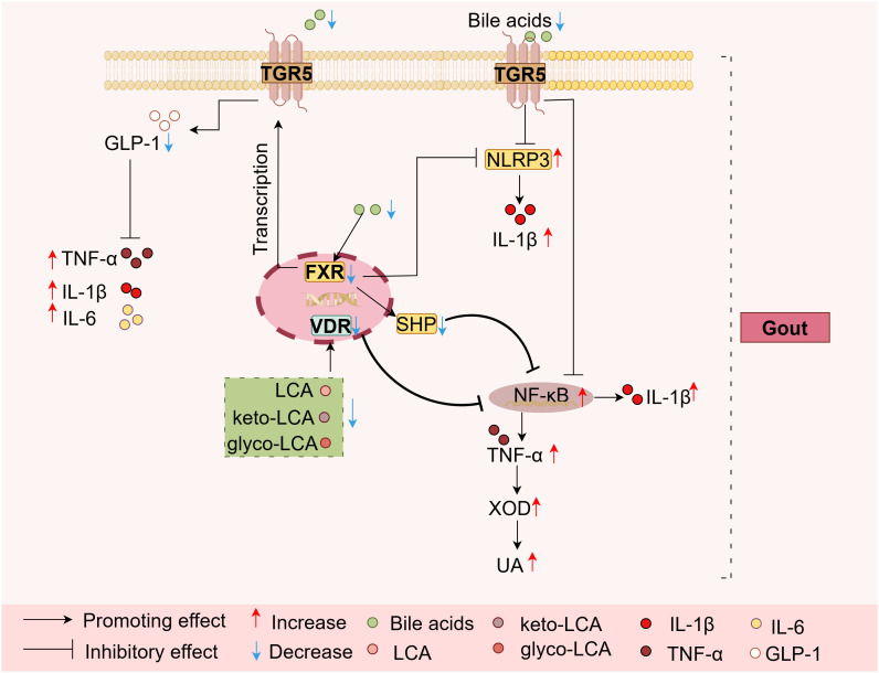 Figure 4