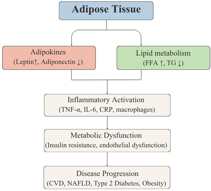 Figure 3