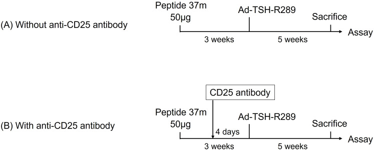 Figure 5