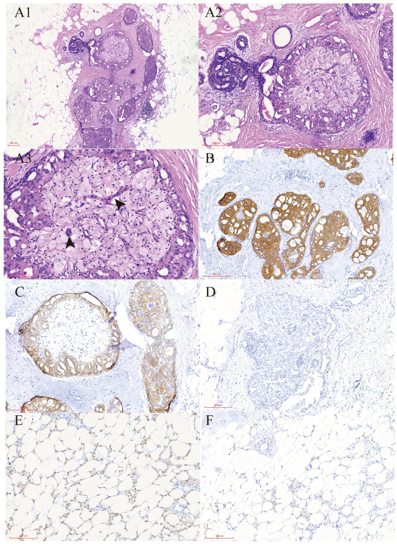 Figure 2
