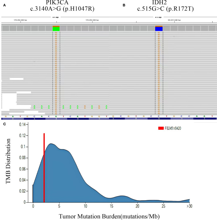 Figure 4