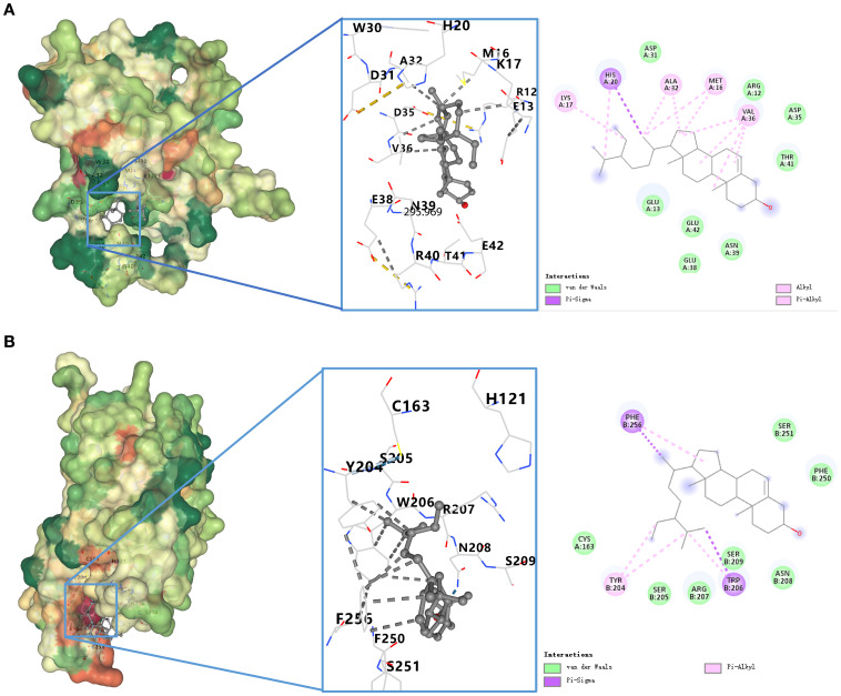 Figure 4
