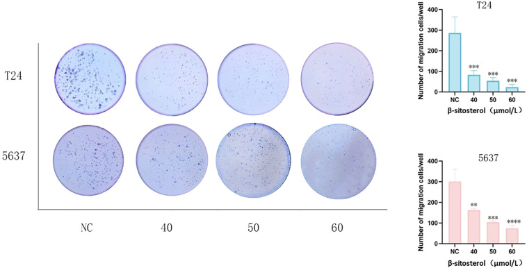 Figure 7