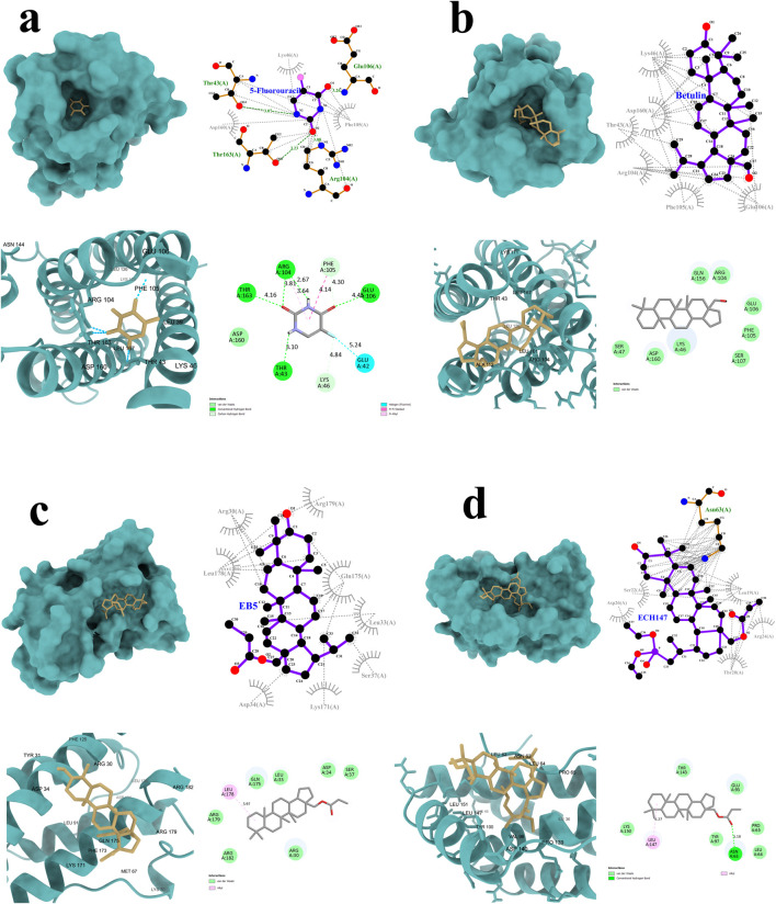 FIGURE 5