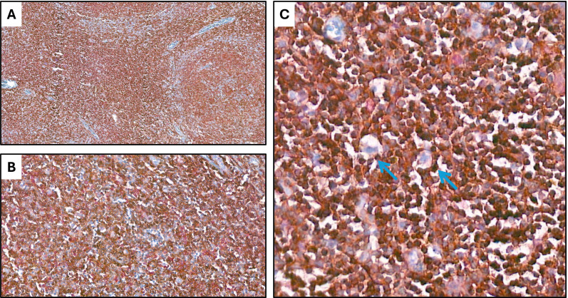 Figure 7