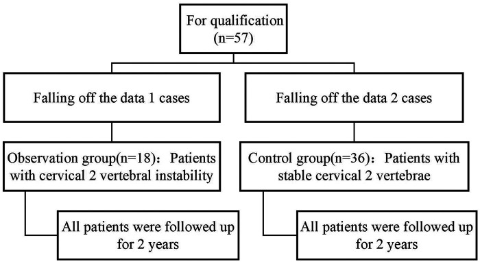 Figure 2