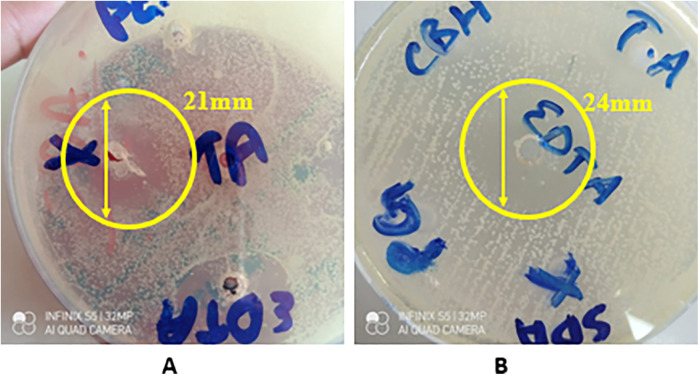 Figure 9