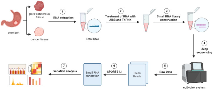 Figure 11
