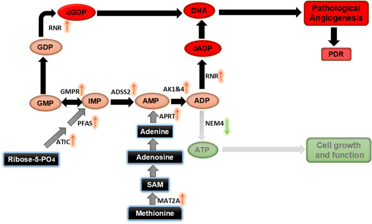 FIGURE 9