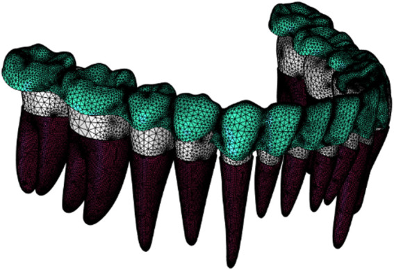 FIGURE 1