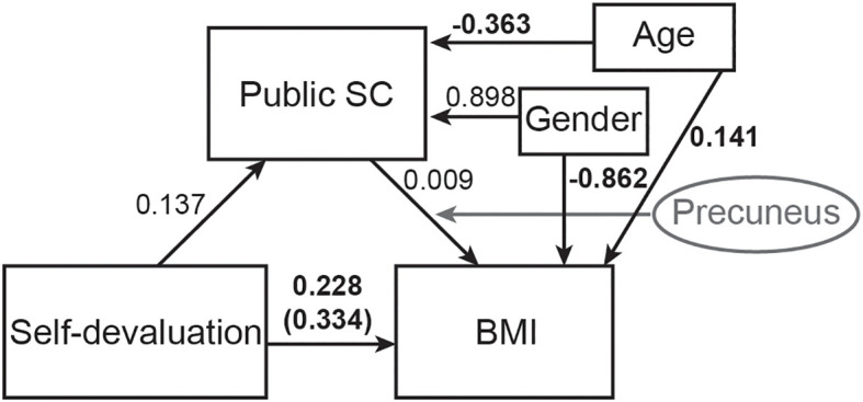 Figure 5