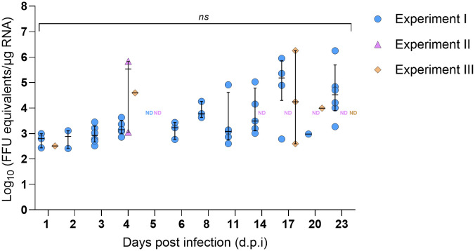 Figure 3