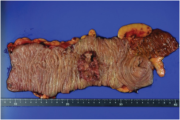Fig. 6