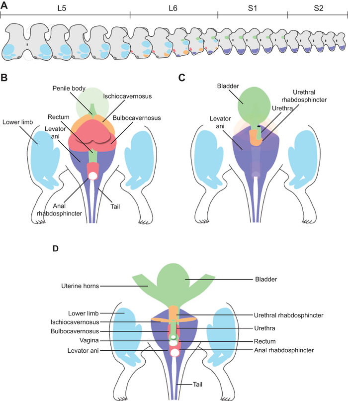 FIGURE 14