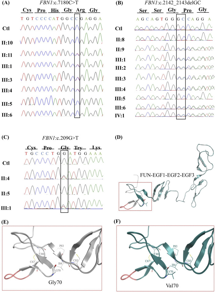FIGURE 3