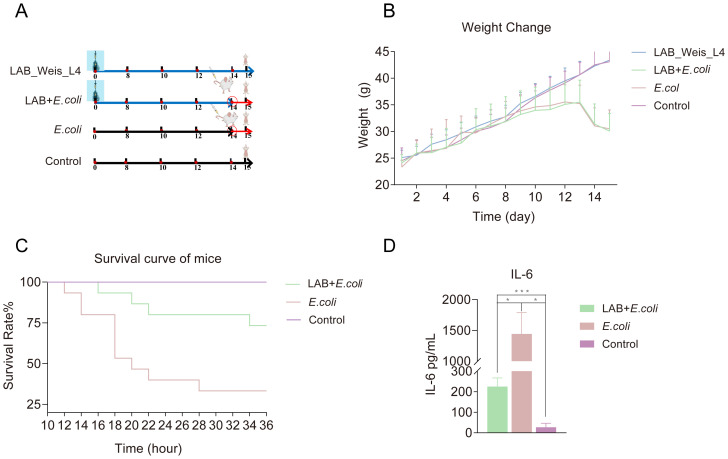 Figure 4