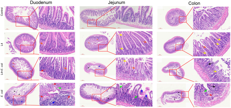 Figure 5