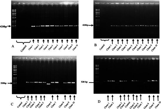 FIGURE 2