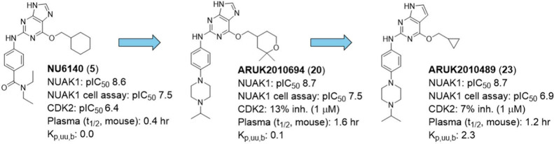Figure 11
