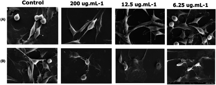 FIGURE 3
