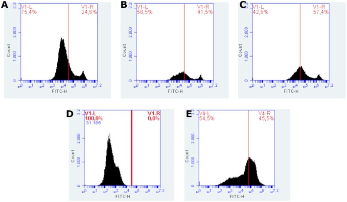 FIGURE 4
