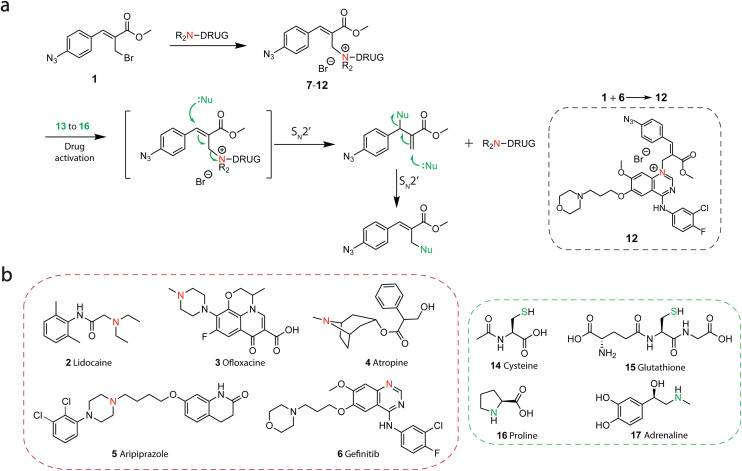 Fig. 2