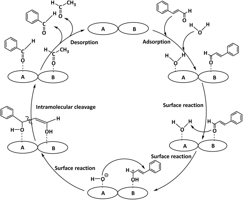 Fig. 12