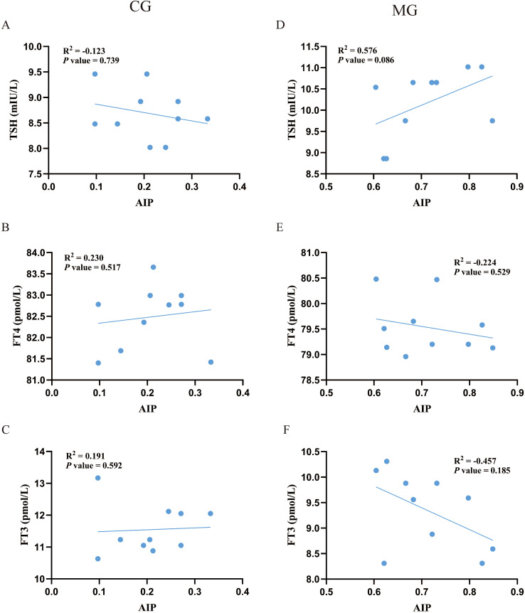 Figure 6