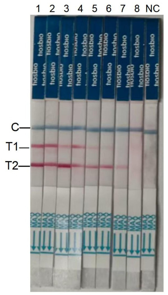 Figure 6
