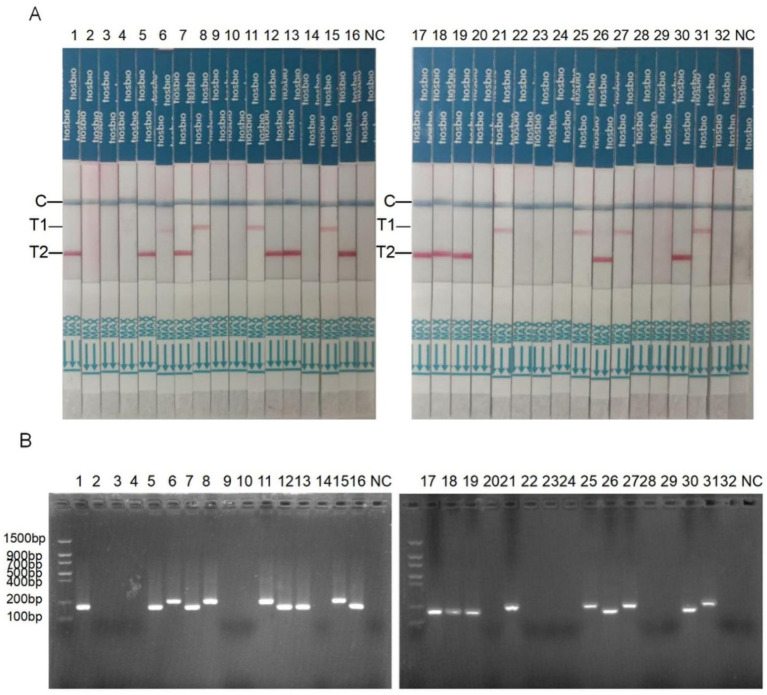 Figure 7