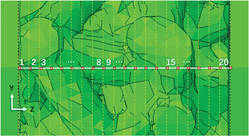 Figure 31