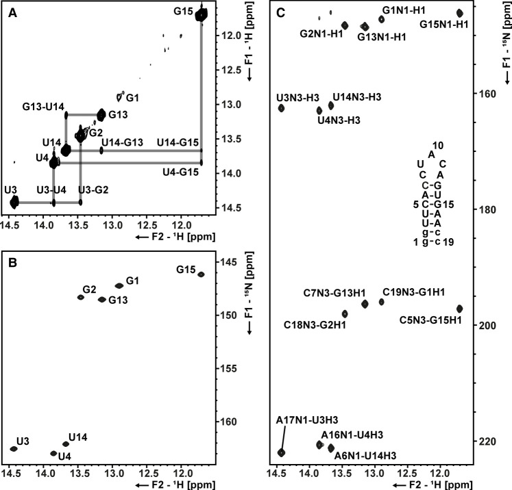FIGURE 2