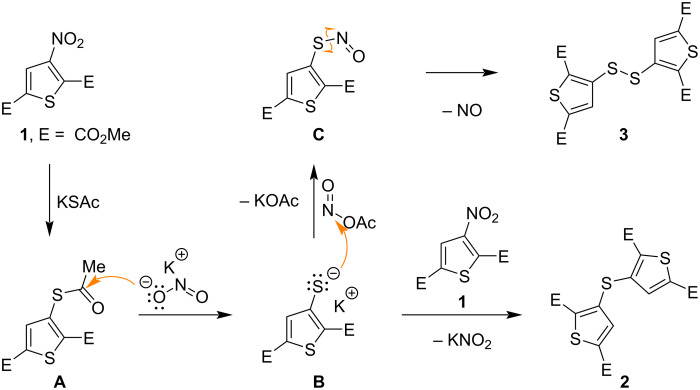Scheme 5