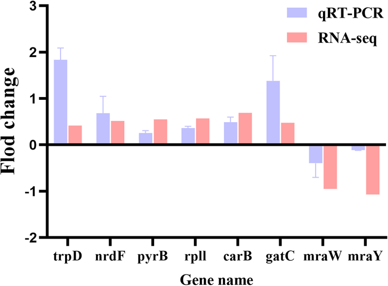 Figure 17