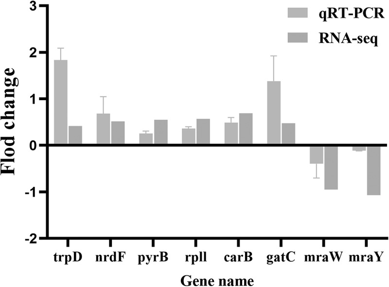Figure 18