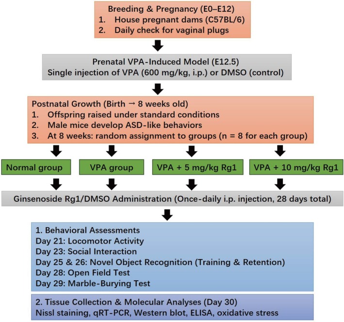 FIGURE 1