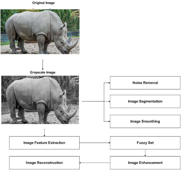 Fig 3