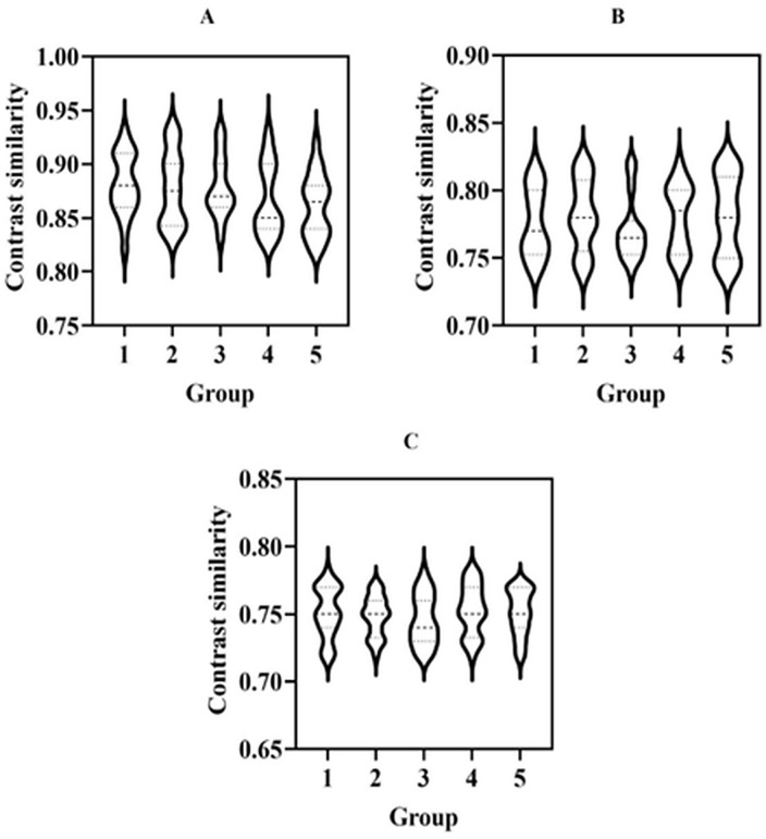 Fig 5