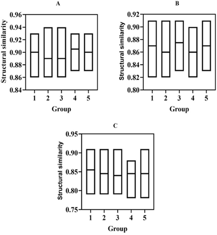 Fig 6